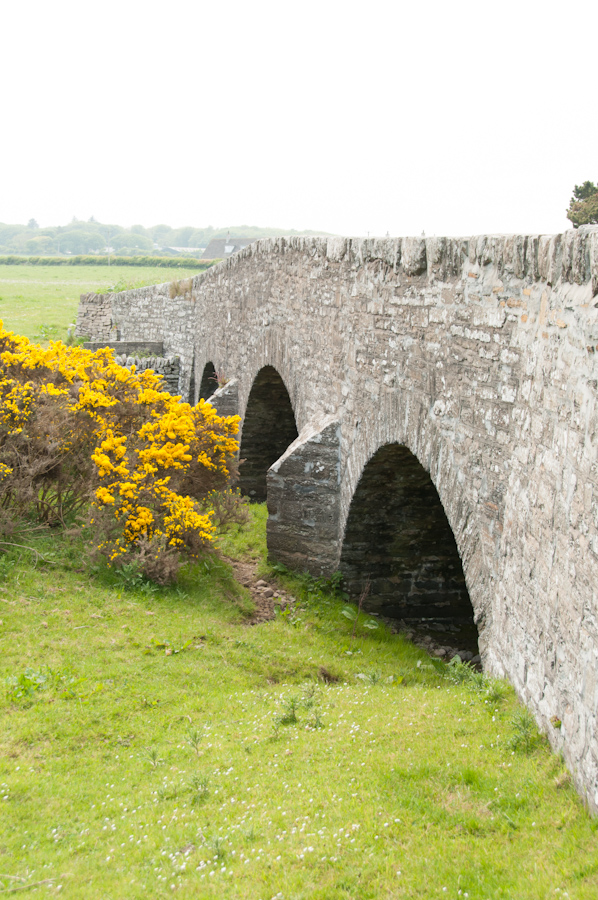 Bridge of Haster
